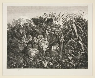 Paisagem