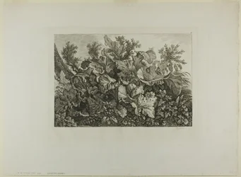 Plantas de pântano