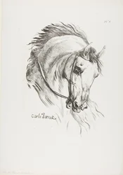Pormenor da cabeça de um cavalo, ampliada para o triplo, Hussard, Guarda Real, n.º 6