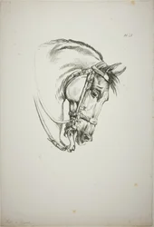 Pormenor da cabeça do cavalo, ampliada para o triplo, Guarda Real Normanda, n.º 5, Primeiro Cavalo de Limoges