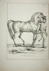 Guarda Real, Norman Cavalier, não em traje completo, e Cavalo, No. 3