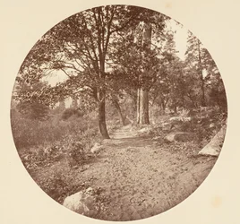 No Vale de Yosemite, ca. 1878.