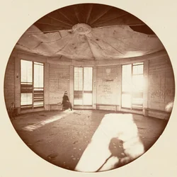 Interior do Pavilhão Construído no Tronco da Árvore, C. Grove , ca. 1878.