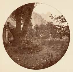 [Parque Nacional de Yosemite, Califórnia], ca. 1878.