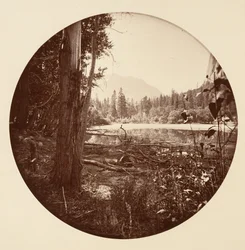 [Parque Nacional de Yosemite, Califórnia], c. 1878.