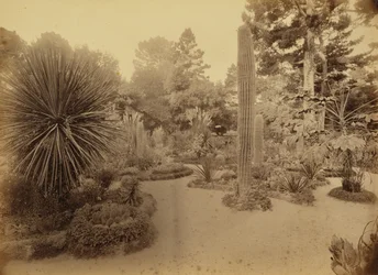 [Monterey, Califórnia. Arizona Garden, Hotel Del Monte].