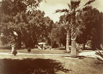 [Thurlow Lodge - Tenda e Grupo Familiar].