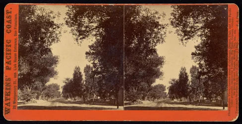 Vista da rua arborizada de San Gabriel, Califórnia
