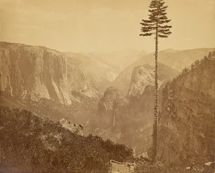 Vale de Yosemite a partir do trilho de Mariposa