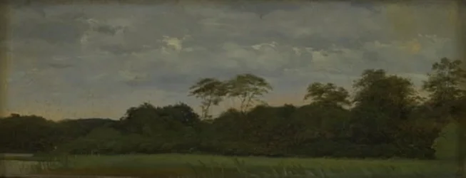 Um prado por um lago da floresta