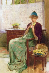 Prímulas