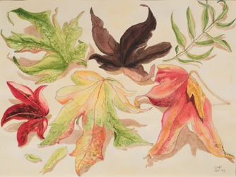 Autumn Leaves, 1993 (wc no papel)