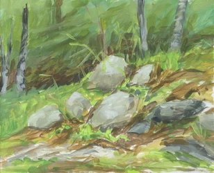 Rocha da Floresta Verde