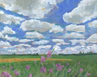 Céu de verão sobre flores silvestres