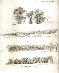 Estudos de árvores 1809