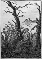 A mulher com a teia de aranha entre árvores despidas