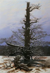 Carvalho na neve. 1829