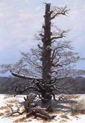 Paisagem de inverno (árvore despida)
