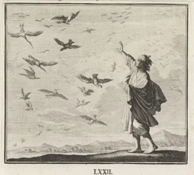 Emblema: aves