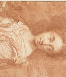 Retrato de uma mulher jovem não identificada, meia pele