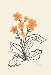 Flores de laranja vivo