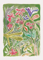 Jardim Selvagem Vibrante