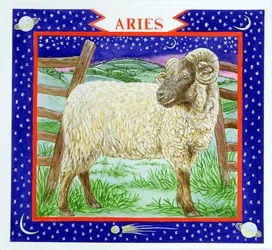 Áries (wc no papel)