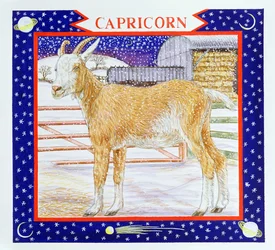 Capricórnio (wc no papel)