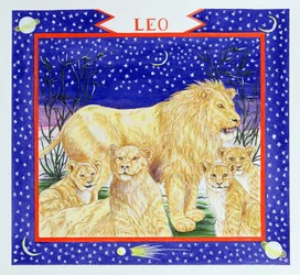Leo (wc no papel)