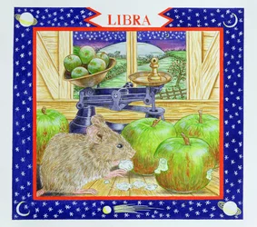 Libra (wc no papel)
