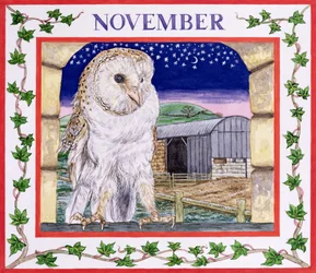 Novembro (wc no papel)