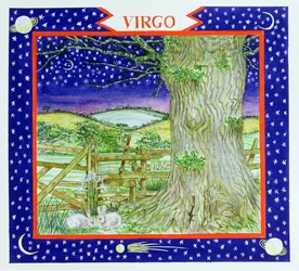 Virgo (wc no papel)