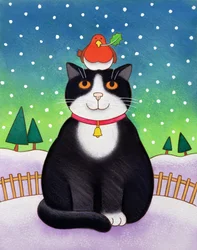 Gato com Robin (wc no papel)