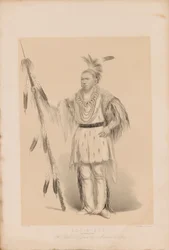 Joc-o-sot, o Urso Andante