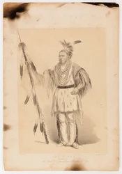 Joc-o-sot, o Urso Andante