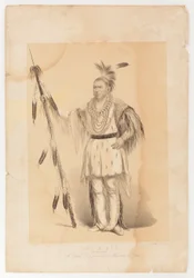 Joc-o-sot, o Urso Andante