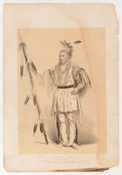 Joc-o-sot, o Urso Andante