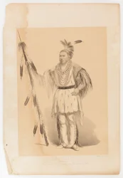 Joc-o-sot, o Urso Andante