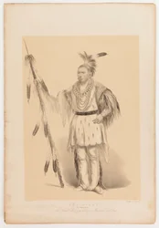 Joc-o-sot, o Urso Andante