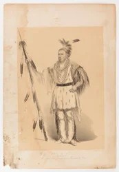 Joc-o-sot, o Urso Andante