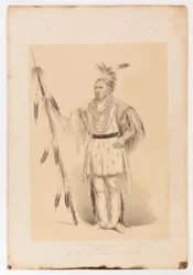 Joc-o-sot, o Urso Andante