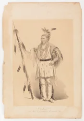 Joc-o-sot, o Urso Andante