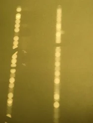 Composição - Luz, 2019 (foto)
