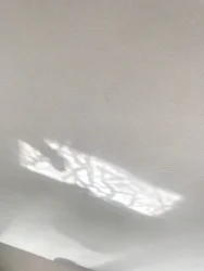 Composição - Reflexões, 2019 (foto)