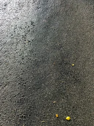 Composição - Textura, 2020 (foto)