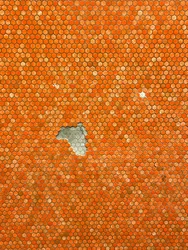 Composição - mosaico, 2022 (foto)