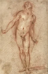 Nu masculino de pé, 1637-38