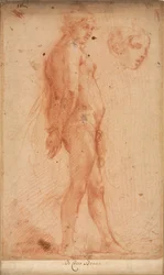 Estudo de um nu masculino em pé, com um estudo da cabeça em três quartos, c. 1640