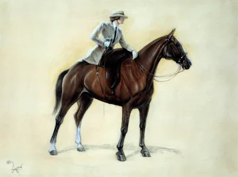 Um cavaleiro elegante a subir para uma Amazónia. Desenho de Cecil Aldin (1870-1935) Coleção particular do século XIX