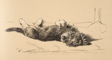 Áspero Daschund Puppy Detail, 1930, ilustrações de seu Sketch Book usado para apenas entre amigos, Aldin, Cecil Charles Windsor (1870-1935), mais tarde publicado pela Eyre e Spottiswoode Limited, 1934, Cha